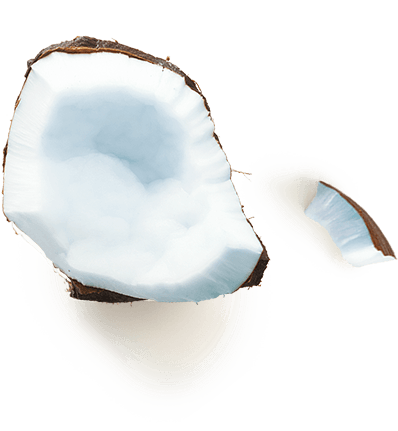 cocoside cocoside