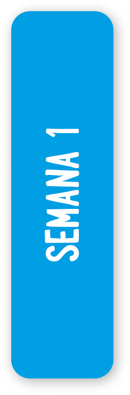 Semana 1