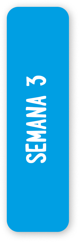 Semana 3