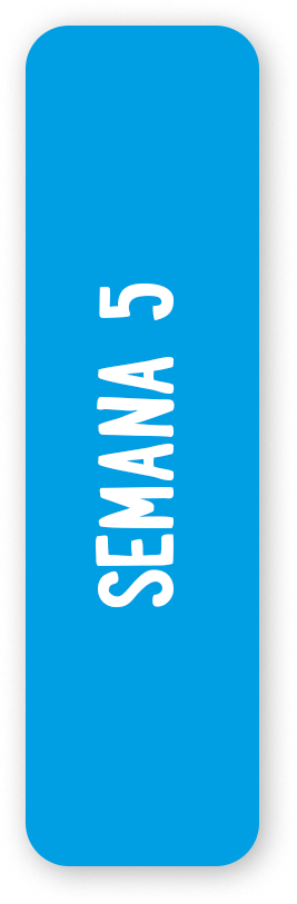 Semana 5