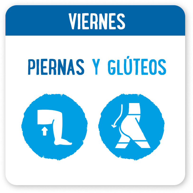 Piernas y glúteos